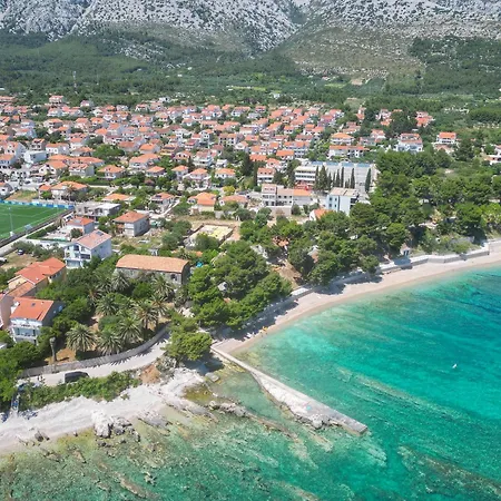 Oliva